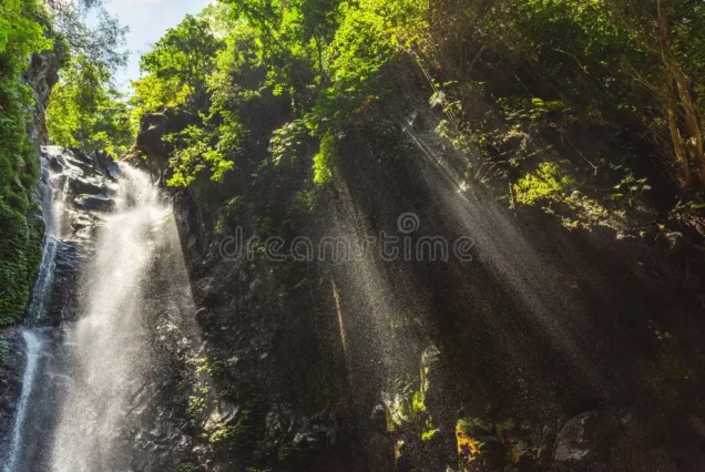 Natural Of Balinese